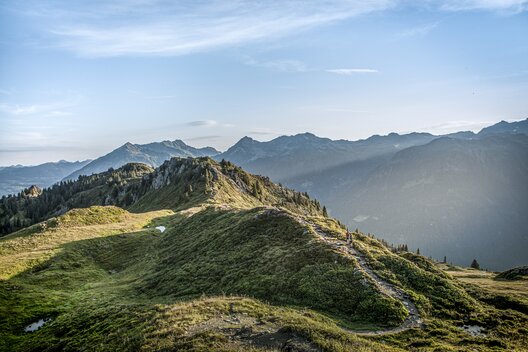 Gantakopf - Silvretta Montafon  | © Silvretta Montafon - Daniel Zangerl Grün bewachsener Bergkamm in der Silvretta Montafon | © Silvretta Montafon - Daniel Zangerl