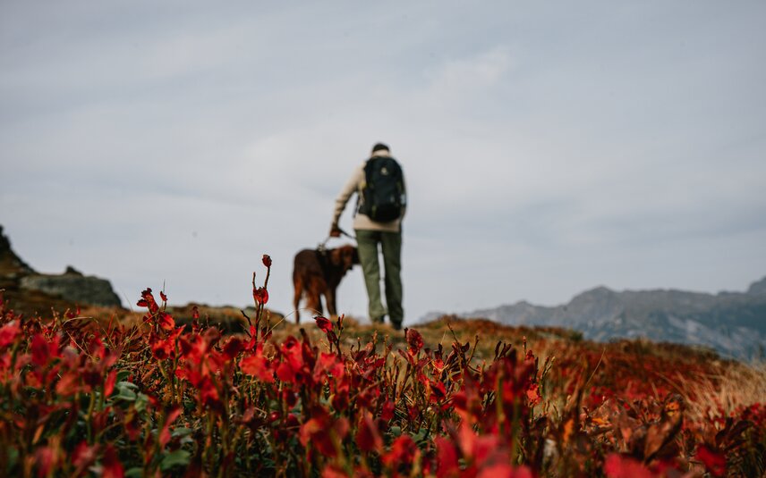 Wandern im Herbst - Silvretta Montafon | © Silvretta Montafon - Vanessa Strauch Eine Wanderin mit Hund im Herbst in der Silvretta Montafon. | © Silvretta Montafon - Vanessa Strauch