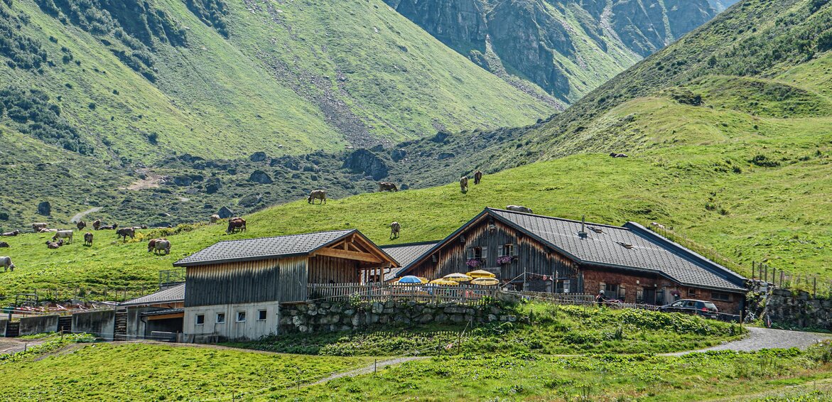 Die Alpe Nova in der Silvretta Montafon. | © Silvretta Montafon - Alpe Nova