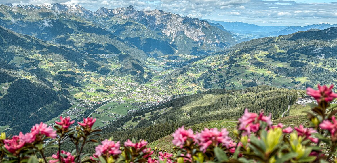 Rosa Alpenrosen im Vordergrund mit der Montafoner Bergwelt und dem Tal im Hintergrund | © Silvretta Montafon - Natascha Zandveld
